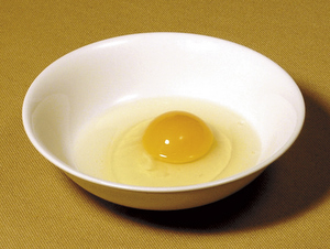玉子画像
